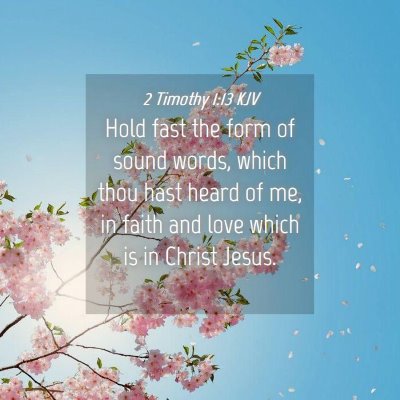 Picture 04 - 2 Timothy 1:13 KJV - Hold fast the form of sound words, which thou - Bible Verse Picture