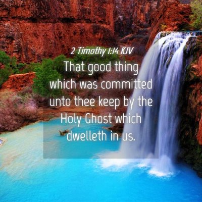 Picture 04 - 2 Timothy 1:14 KJV - That good thing which was committed unto thee - Bible Verse Picture