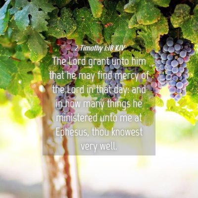 Picture 04 - 2 Timothy 1:18 KJV - The Lord grant unto him that he may find mercy of - Bible Verse Picture