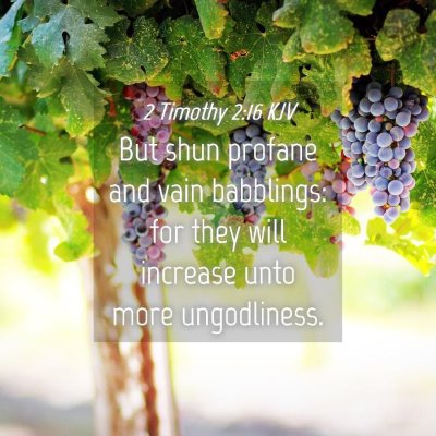 Picture 04 - 2 Timothy 2:16 KJV - But shun profane and vain babblings: for they - Bible Verse Picture
