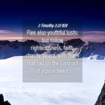 Picture 04 - 2 Timothy 2:22 KJV - Flee also youthful lusts: but follow - Bible Verse Picture