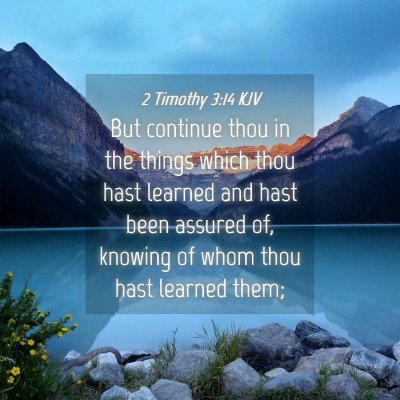 Picture 04 - 2 Timothy 3:14 KJV - But continue thou in the things which thou hast - Bible Verse Picture