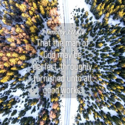 Picture 04 - 2 Timothy 3:17 KJV - That the man of God may be perfect, throughly - Bible Verse Picture