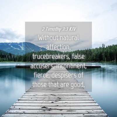 Picture 04 - 2 Timothy 3:3 KJV - Without natural affection, trucebreakers, false - Bible Verse Picture