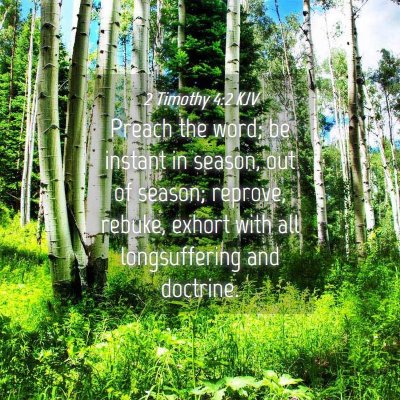 Picture 04 - 2 Timothy 4:2 KJV - Preach the word; be instant in season, out of - Bible Verse Picture