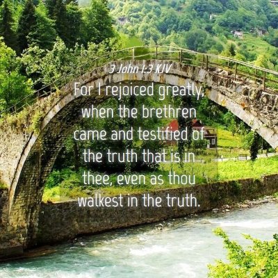 Picture 04 - 3 John 1:3 KJV - For I rejoiced greatly, when the brethren came - Bible Verse Picture