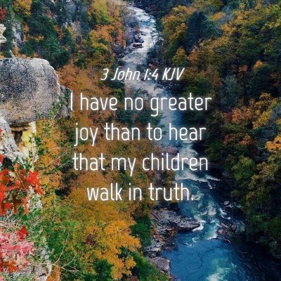 Picture 04 - 3 John 1:4 KJV - I have no greater joy than to hear that my - Bible Verse Picture
