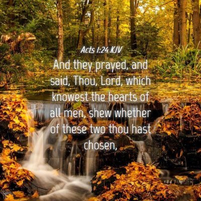Picture 04 - Acts 1:24 KJV - And they prayed, and said, Thou, Lord, which - Bible Verse Picture