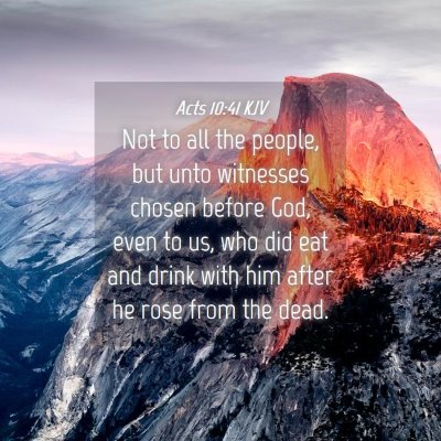 Picture 04 - Acts 10:41 KJV - Not to all the people, but unto witnesses chosen - Bible Verse Picture
