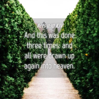 Picture 04 - Acts 11:10 KJV - And this was done three times: and all were drawn - Bible Verse Picture