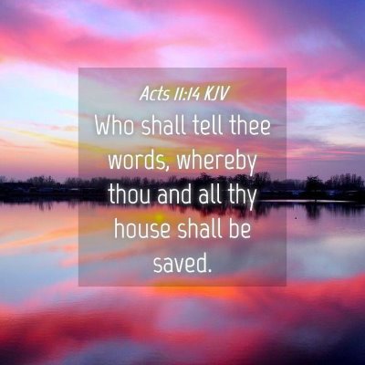 Picture 04 - Acts 11:14 KJV - Who shall tell thee words, whereby thou and all - Bible Verse Picture
