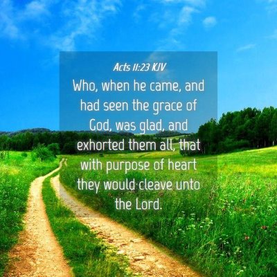 Picture 04 - Acts 11:23 KJV - Who, when he came, and had seen the grace of God, - Bible Verse Picture