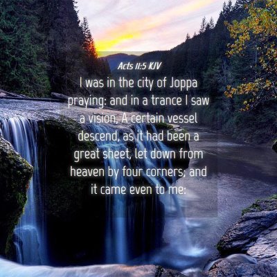 Picture 04 - Acts 11:5 KJV - I was in the city of Joppa praying: and in a - Bible Verse Picture
