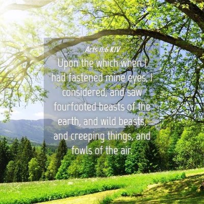 Picture 04 - Acts 11:6 KJV - Upon the which when I had fastened mine eyes, I - Bible Verse Picture