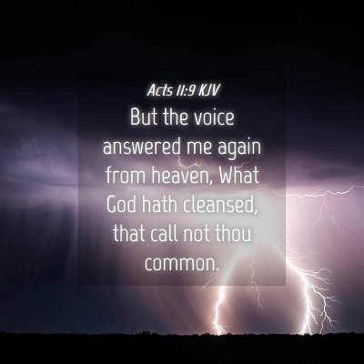 Picture 04 - Acts 11:9 KJV - But the voice answered me again from heaven, What - Bible Verse Picture