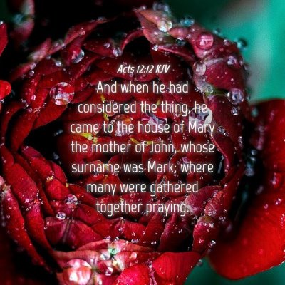Picture 04 - Acts 12:12 KJV - And when he had considered the thing, he came to - Bible Verse Picture