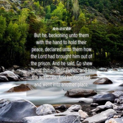 Picture 04 - Acts 12:17 KJV - But he, beckoning unto them with the hand to hold - Bible Verse Picture