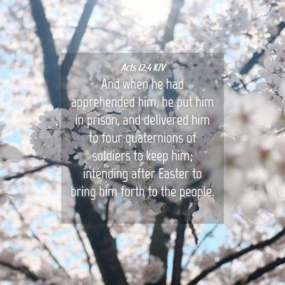 Picture 04 - Acts 12:4 KJV - And when he had apprehended him, he put him in - Bible Verse Picture