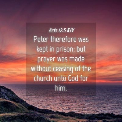 Picture 04 - Acts 12:5 KJV - Peter therefore was kept in prison: but prayer - Bible Verse Picture