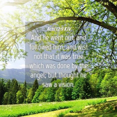 Picture 04 - Acts 12:9 KJV - And he went out, and followed him; and wist not - Bible Verse Picture