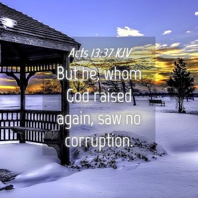 Picture 04 - Acts 13:37 KJV - But he, whom God raised again, saw no - Bible Verse Picture