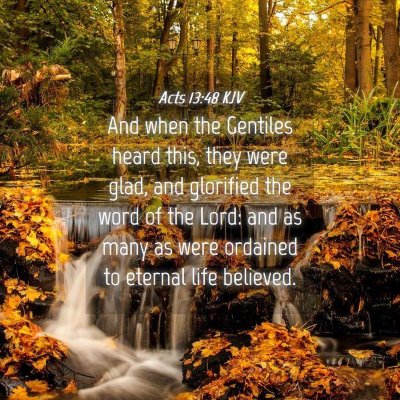 Picture 04 - Acts 13:48 KJV - And when the Gentiles heard this, they were glad, - Bible Verse Picture