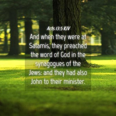 Picture 04 - Acts 13:5 KJV - And when they were at Salamis, they preached the - Bible Verse Picture
