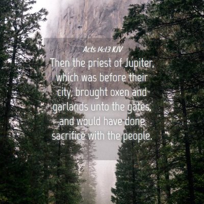 Picture 04 - Acts 14:13 KJV - Then the priest of Jupiter, which was before - Bible Verse Picture