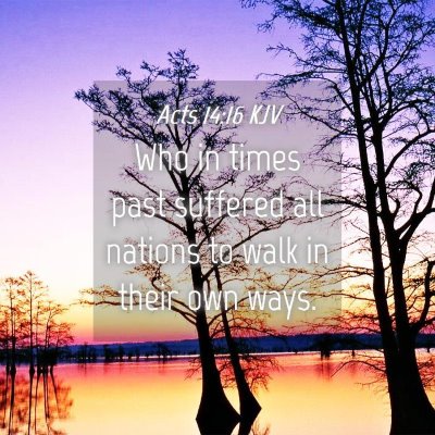 Picture 04 - Acts 14:16 KJV - Who in times past suffered all nations to walk in - Bible Verse Picture
