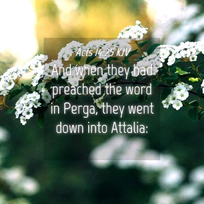 Picture 04 - Acts 14:25 KJV - And when they had preached the word in Perga, - Bible Verse Picture