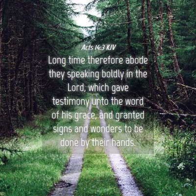 Picture 04 - Acts 14:3 KJV - Long time therefore abode they speaking boldly in - Bible Verse Picture
