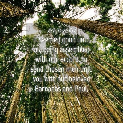 Picture 04 - Acts 15:25 KJV - It seemed good unto us, being assembled with one - Bible Verse Picture