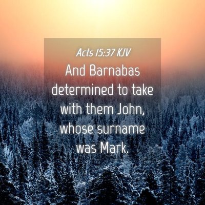 Picture 04 - Acts 15:37 KJV - And Barnabas determined to take with them John, - Bible Verse Picture
