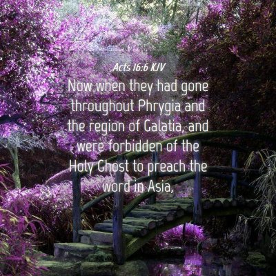 Picture 04 - Acts 16:6 KJV - Now when they had gone throughout Phrygia and the - Bible Verse Picture