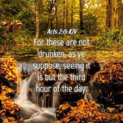 Picture 04 - Acts 2:15 KJV - For these are not drunken, as ye suppose, seeing - Bible Verse Picture
