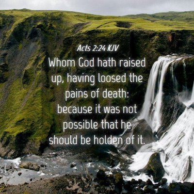 Picture 04 - Acts 2:24 KJV - Whom God hath raised up, having loosed the pains - Bible Verse Picture