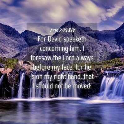 Picture 04 - Acts 2:25 KJV - For David speaketh concerning him, I foresaw the - Bible Verse Picture