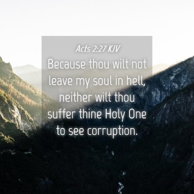 Picture 04 - Acts 2:27 KJV - Because thou wilt not leave my soul in hell, - Bible Verse Picture