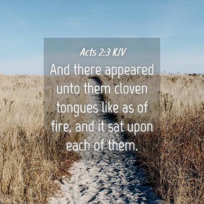 Picture 04 - Acts 2:3 KJV - And there appeared unto them cloven tongues like - Bible Verse Picture