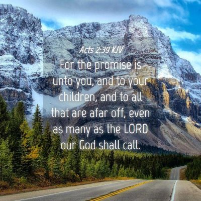 Picture 04 - Acts 2:39 KJV - For the promise is unto you, and to your - Bible Verse Picture