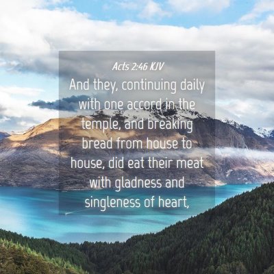 Picture 04 - Acts 2:46 KJV - And they, continuing daily with one accord in the - Bible Verse Picture