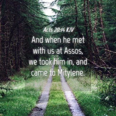 Picture 04 - Acts 20:14 KJV - And when he met with us at Assos, we took him in, - Bible Verse Picture
