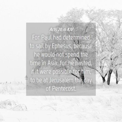 Picture 04 - Acts 20:16 KJV - For Paul had determined to sail by Ephesus, - Bible Verse Picture