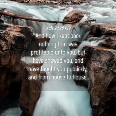 Picture 04 - Acts 20:20 KJV - And how I kept back nothing that was profitable - Bible Verse Picture