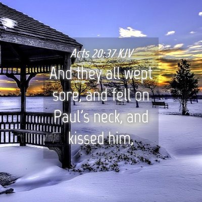 Picture 04 - Acts 20:37 KJV - And they all wept sore, and fell on Paul's neck, - Bible Verse Picture