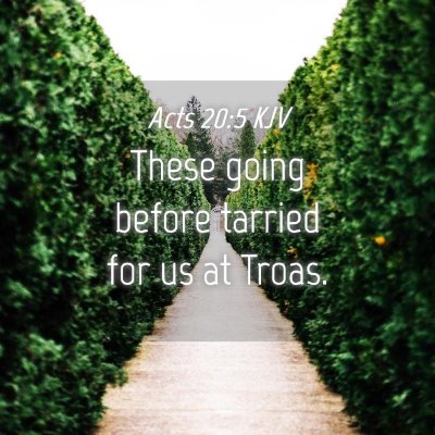 Picture 04 - Acts 20:5 KJV - These going before tarried for us at - Bible Verse Picture