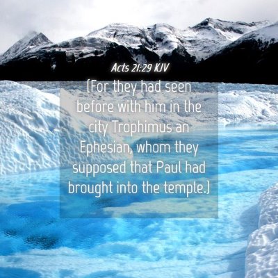 Picture 04 - Acts 21:29 KJV - (For they had seen before with him in the city - Bible Verse Picture