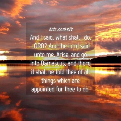 Picture 04 - Acts 22:10 KJV - And I said, What shall I do, LORD? And the Lord - Bible Verse Picture