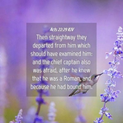 Picture 04 - Acts 22:29 KJV - Then straightway they departed from him which - Bible Verse Picture
