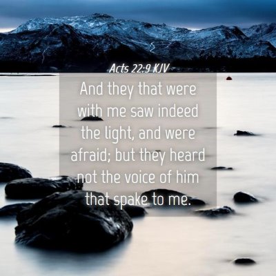 Picture 04 - Acts 22:9 KJV - And they that were with me saw indeed the light, - Bible Verse Picture